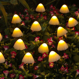 ̂ \[[Cg K[fCg 킢  LmR ̂Cg  Ԓd IuWF h C~l[V 邢 ȒPݒu _ dC[  p Ɩ ͋C