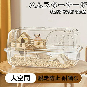 nX^[P[W 傫 nX^[nEX 炩 p LʋCQ gȒP  ^񂵎  ߋV[\[ ^ѕ֗ |₷  ybgpVя