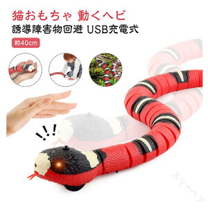 d wr XgX AȈړwr L   L  ^s dCwr UQ 얞 usb[d f ybg nEB N