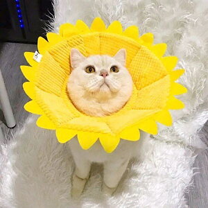 GUxXJ[ Ђ܂^  Lp p rߖh~ wXPA pEFA \tg _炩 lR Ck  킢  n ybgG Sfގgp SQ 4