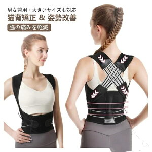 Lw j q pT|[^[ w؋xg    Lwxg fB[X Y Ci[ Ή 傫TCY ̌^␳