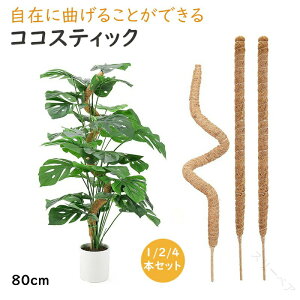 A | x  |x ϗtA K[fjO  wS t[ T|[g x Lт x_ RRRRibc XeBbN Xe x wSx RRibc x AT|[