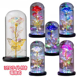 o ͂Ȃ  KN S[hbL[Y t[Cg LEDCgt dr ԑ v[go LL KXh[ NX}X o^Cf[ t[ v[g 