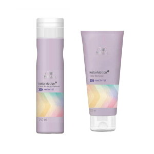 y SET zEG vtFbVi J[[V{AWXg Vv[ 250ml &RfBVi[ 200mL WELLA