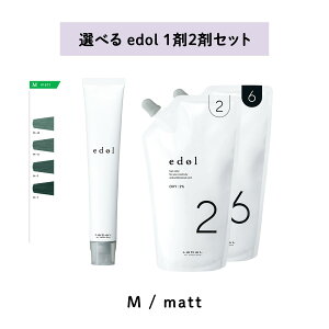 y Iׂ 1 2 z x LebeL Gh edol shade color VF[hJ[ matt }bg M ILV 2 6