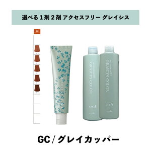 �y �I�ׂ� 1�� 2�� �z �O���C�V�X�J���[ ( GRAICYS COLOR ) �i�v�� �A�N�Z�X�t���[HB �O���C�V�X�J���[ GC-9 80g �@�O���C�J�b�p�[ �w�A�J���[ �I�L�V�@3%�@6%