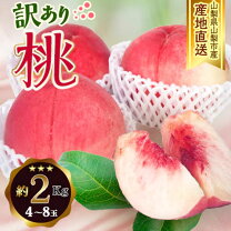楽天市場】アウトレット 在庫処分（フルーツ・果物｜食品）の通販