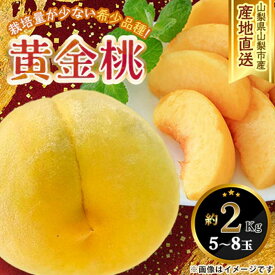 8月下旬発送 送料無料 山梨県産 黄金桃 約2Kg 5～8玉