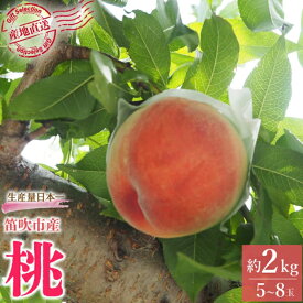 即納 出荷開始 送料無料 山梨県 笛吹市産 桃 2Kg 5～8玉
