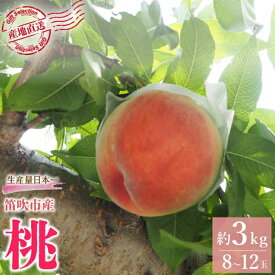 即納 出荷開始 送料無料 山梨県 笛吹市産 桃 3Kg 8～12玉