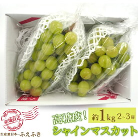8月下旬出荷 送料無料 山梨県 笛吹市産 シャインマスカット 1Kg 2～3房