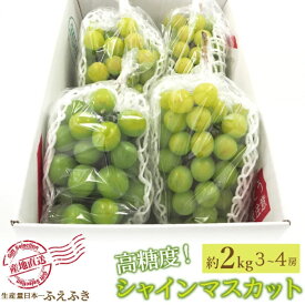 8月下旬出荷 送料無料 山梨県 笛吹市産 シャインマスカット 2Kg 3～4房