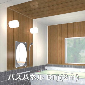 tNr@oXplBTji2mj1J[FW01`S03 FUKUVI pVEǑށ@oXpldオ PVCoXpl 𕨕ʓr