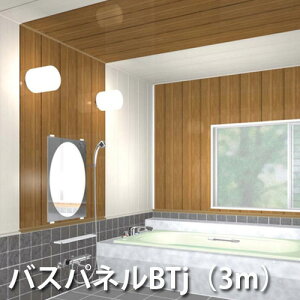 tNr@oXplBTji3mj1J[FW01`S03 FUKUVI pVEǑށ@oXpldオ PVCoXpl 𕨕ʓr