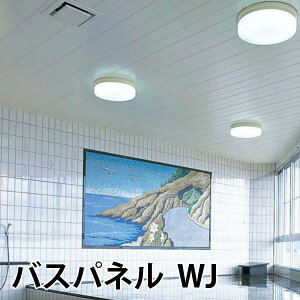 tNr@oXplWJ@[3m]1 FUKUVI pVEǑށ@oXplVpl PVCoXpl