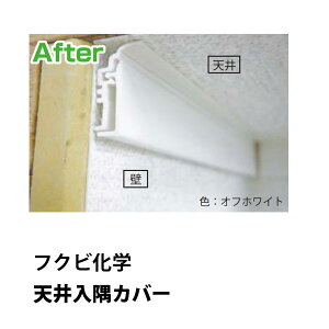 tNrwtH[Jo[H@VJo[@Jo[@2000mmǂƓV̕ǎ؂悶tH[50{1P[XƂ̔̔ł
