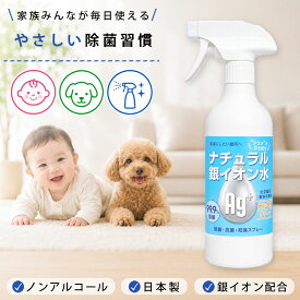 除菌スプレー 銀イオン 日本製 ナチュラル銀イオン水 500ml ノンアルコール 消臭 抗菌 防カビ ペット 赤ちゃん 安全 空間除菌 車内除菌 トイレ除菌 キッチン除菌 手荒れしにくい