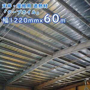  ՔMV[g@^[vzC 3w e 1220mmx60m i1{j22.1 A~Жʃ^Cv Ji^Cvj V̎ՔM ȒP{H ̎ՔM  TAP7101NR-6 A~