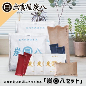 【楽天ショップ・オブ・ザ・マンス2025年5月度都道府県賞 受賞】自分好みに自由にえらべる 炭八 組み合わせセット 選べる数十種類以上パターン 大袋 押入れ用 タンス用 小袋 ミニ 　除湿対策 除湿剤 クローゼット 車 炭八まとめ買いセット