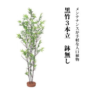 高級 鉢 観葉植物の人気商品 通販 価格比較 価格 Com