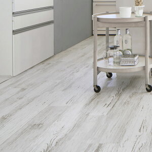 yX[p[Z[Ԓ1Zbg+12v[gz s^tB[ 20Zbg (240) yݒuɕKvDIYLbgtzyjz\X yԑюwOKz IWiLbgł