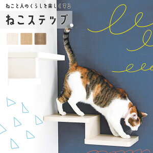 ǕtI ˂Xebv iwʃplȂj匚H DAIKEN ˂̉^sɖ𗧂 XebvI XebvIEuPbgZbg LbgEH[N L  Xebv LbgXebv 