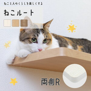 LbgEH[NǕtI ˂[g (R) 匚H DAIKEN ˂̉^sɖ𗧂 XebvI ˂[gIEuPbgZbg LbgEH[N L  Xebv LbgXe