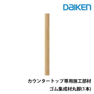 daiken JE^[gbvp{HރSWފۋrME6195-1(̓J[i)