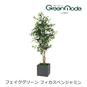 l {bNXv^[tBJXxW~ 2.2myƁEX܂̂ݔz\i l͔zsẑN[ȋԂo RȎ؃O[lHϗtA yO