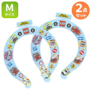 g~J lbNN[[ O MTCY  2Zbg