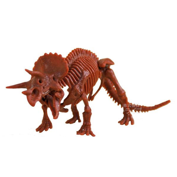 楽天市場恐竜発掘セット トリケラトプス 骨格模型