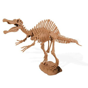 恐竜発掘セット スピノサウルス 骨格模型 CL-174K 020102 ラッピング不可