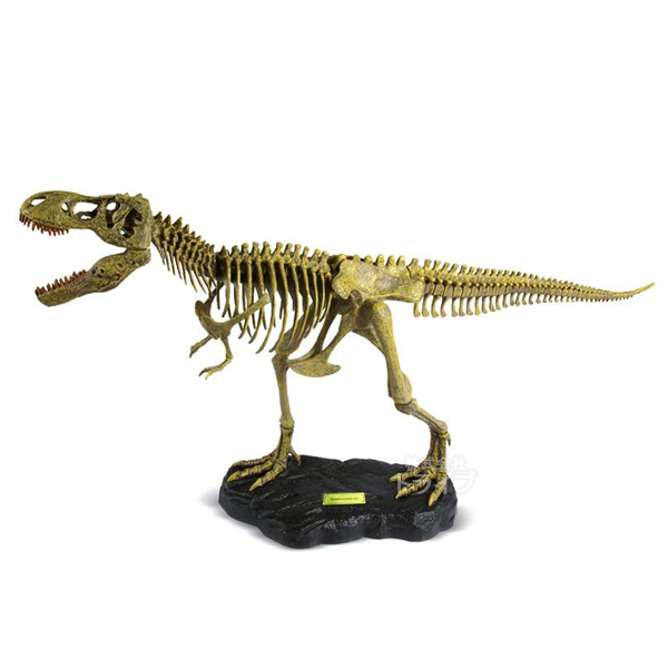 【即納】 T-REX骨格組立キット ティラノサウルス・レックス CL-664K 085101 ラッピング不可 その他