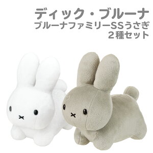 fBbNEu[i ʂ u[it@~[  2Zbg zCg O[