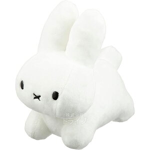 u[it@~[  SS zCg F 660988 ~btB[ ʂ