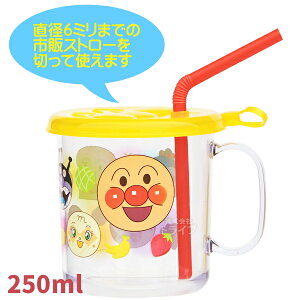 Ap} t^t Xg[Jbv 250ml t s̃Xg[Ή 303607 bN