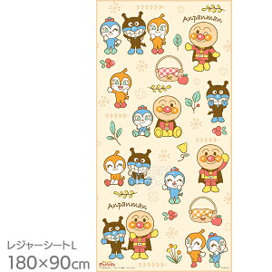 Ap} i`J[ W[V[g L 2-3lp 90×180cm lR|XΉi 048932