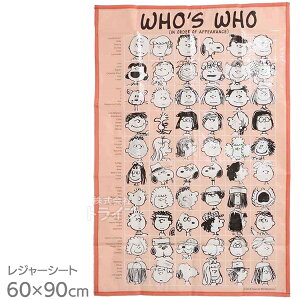 Xk[s[ W[V[gS 90×60cm [֑Ήi 044033