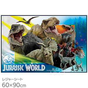 WVbN[h W[V[g 90×60cm VS1 lR|XΉi 673801