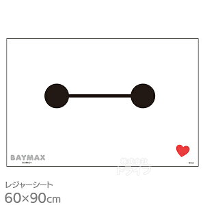 xC}bNX 25 W[V[g 90×60cm VS1 lR|XΉi 685255