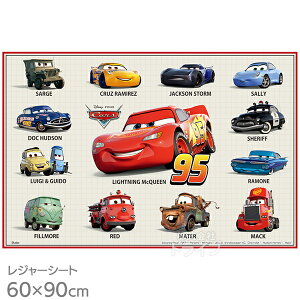 J[Y 25 W[V[g 90×60cm VS1 lR|XΉi 689222