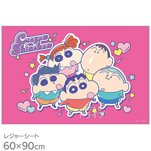 N񂿂 25 W[V[g 90×60cm VS1 lR|XΉi 693380