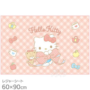 n[LeB rbO{ W[V[g 90×60cm VS1 lR|XΉi 686443