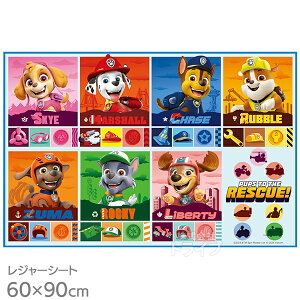 pEpg[ 25 W[V[g 90×60cm VS1 lR|XΉi 694257