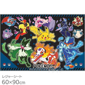 |P 25 W[V[g 90×60cm VS1 lR|XΉi 696411