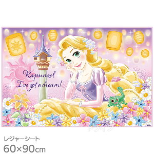 ̏̃vcF 25 W[V[g 90×60cm VS1 lR|XΉi 689345