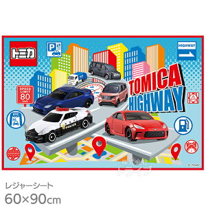 g~J 25 W[V[g 90×60cm VS1 lR|XΉi 693991