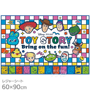 gCXg[[ 25 W[V[g 90×60cm VS1 lR|XΉi 689857