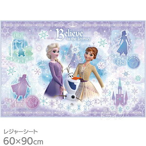 AiƐ̏ 26 W[V[g 90×60cm VS1 lR|XΉi 721595