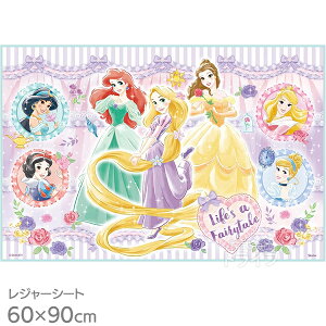 fBYj[ vZX 26 W[V[g 90×60cm VS1 lR|XΉi 721816